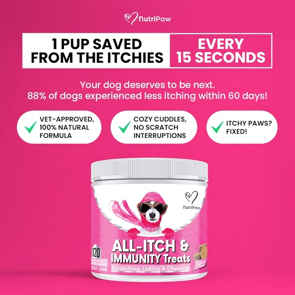 A 1:1 format ad creative featuring a stylized dog mascot to communicate rapid efficacy stats for itchy skin relief.